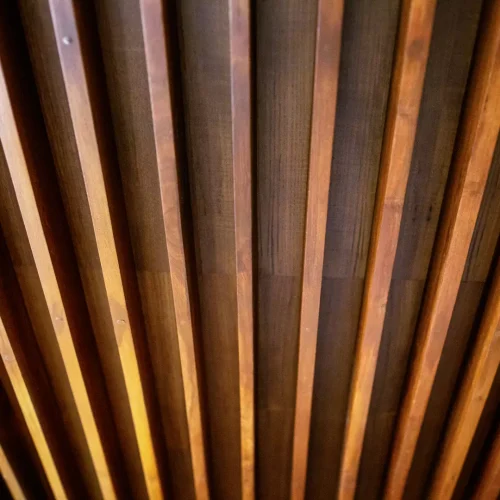 9y1a5765-67641f8e6eb76